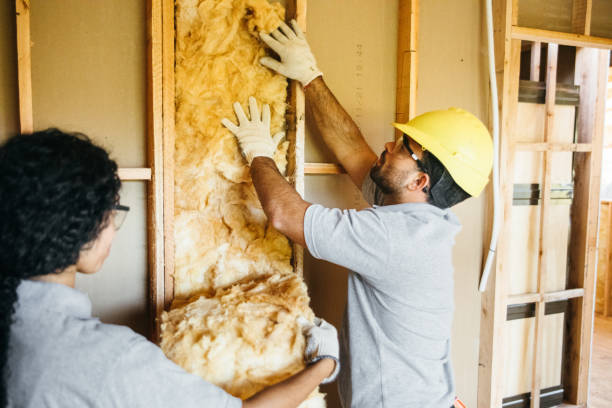 Best Soundproof Insulation  in Sachse, TX